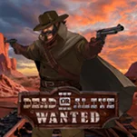 Wanted Dead or a Wild